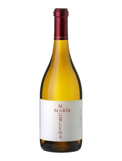 Sottano María Magdalena Chardonnay